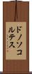 ドノソコルテス Scroll