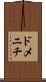 ドメニチ Scroll