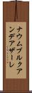 ナウムブルクアンデアザーレ Scroll