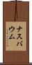 ナスバウム Scroll