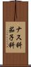 ナス科 Scroll