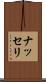 ナッセリ Scroll