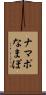 ナマポ Scroll