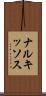 ナルキッソス Scroll