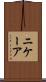 ニケーア Scroll