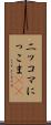 ニッコマ Scroll