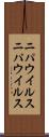 ニパウイルス Scroll