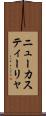 ニューカスティーリャ Scroll