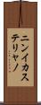 ニンイカステリャノ Scroll