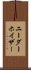 ニーダーホイザー Scroll