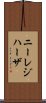 ニーレジハーザ Scroll