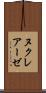 ヌクレアーゼ Scroll