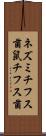 ネズミチフス菌 Scroll