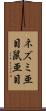 ネズミ亜目 Scroll