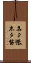 ネタ帳 Scroll