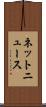 ネットニュース Scroll