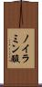 ノイラミン酸 Scroll
