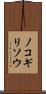 ノコギリソウ Scroll