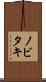 ノビタキ Scroll