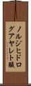 ノルジヒドログアヤレト酸 Scroll