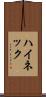 ハイネック Scroll