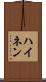 ハイネン Scroll