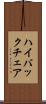 ハイ・バック・チェア Scroll