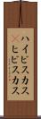 ハイビスカス(P) Scroll