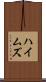 ハイムズ Scroll