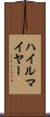 ハイルマイヤー Scroll
