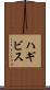 ハギビス Scroll