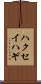 ハクセイハギ Scroll