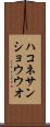 ハコネサンショウウオ Scroll