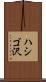 ハシゴ沢 Scroll