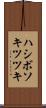 ハシボソキツツキ Scroll