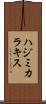 ハジミカラキス Scroll