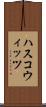 ハスコウィッツ Scroll