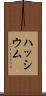 ハッシウム Scroll