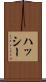 ハッシー Scroll