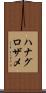 ハナグロザメ Scroll