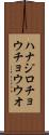 ハナジロチョウチョウウオ Scroll