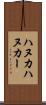 ハヌカ Scroll