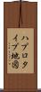 ハプロタイプ地図 Scroll