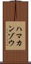 ハマカンゾウ Scroll