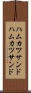 ハムカツサンド Scroll