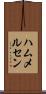 ハムメルセン Scroll