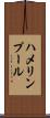ハメリンプール Scroll
