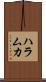 ハラムカ Scroll