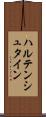 ハルテンシュタイン Scroll