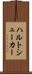 ハルトシューカー Scroll